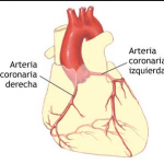 imagen1
